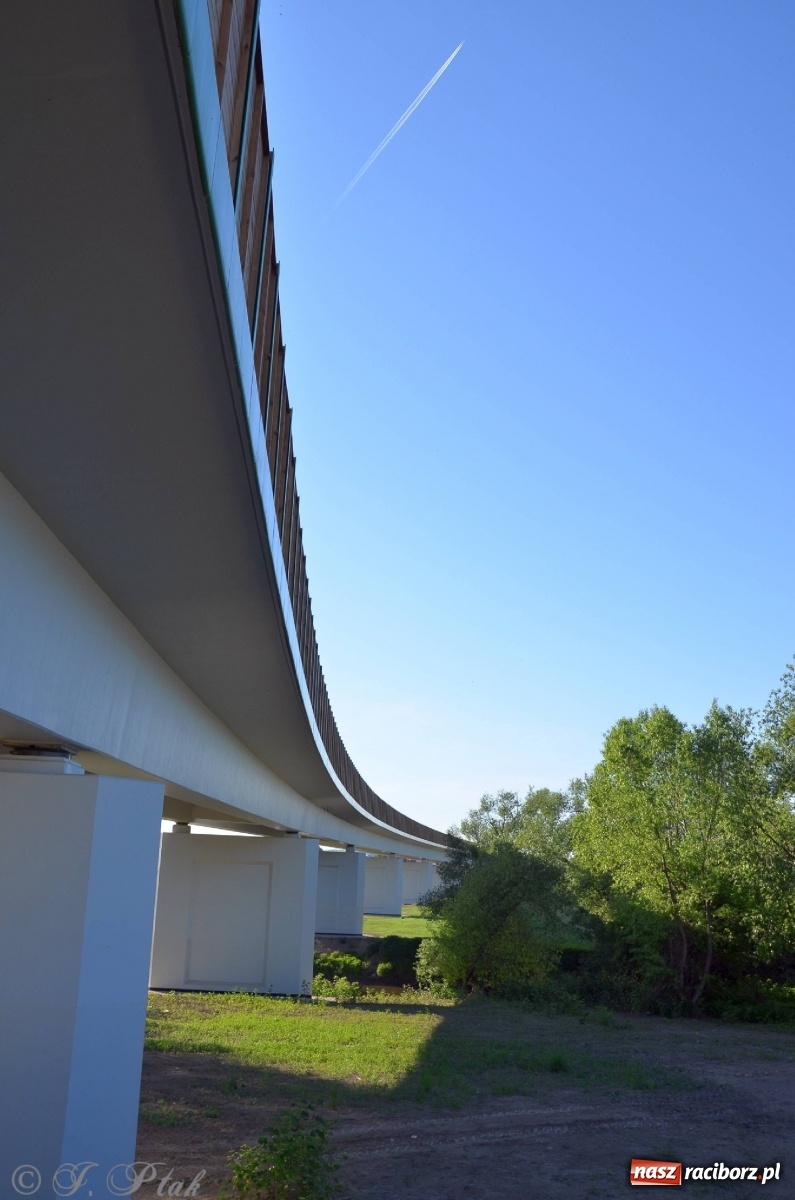 Zdjęcie w galerii na portalu naszraciborz.pl: Obwodnica i okolice. Tak zagospodarowano teren wokół nowej drogi wiadomości z regionu