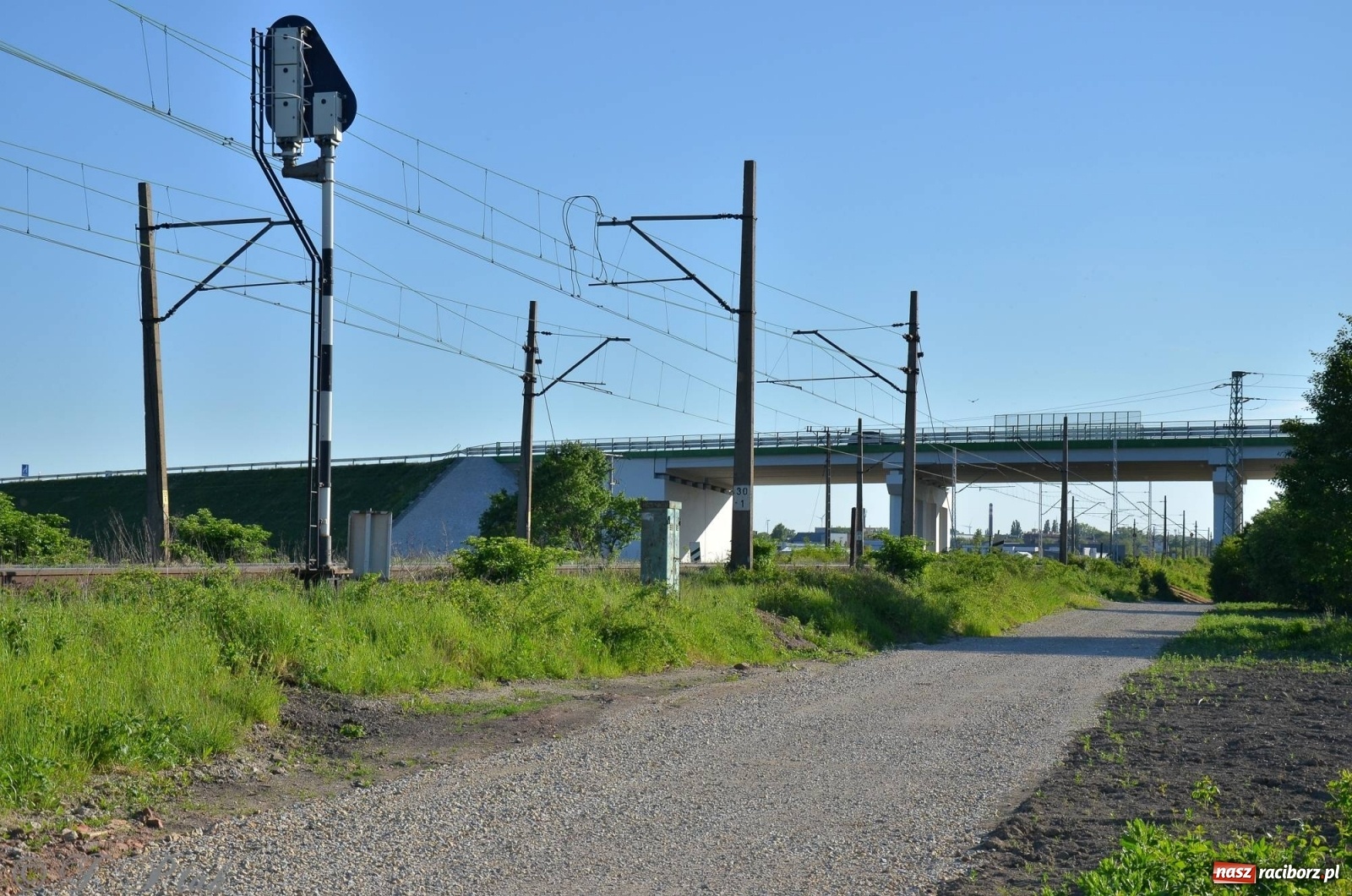 Zdjęcie w galerii na portalu naszraciborz.pl: Obwodnica i okolice. Tak zagospodarowano teren wokół nowej drogi wiadomości z regionu