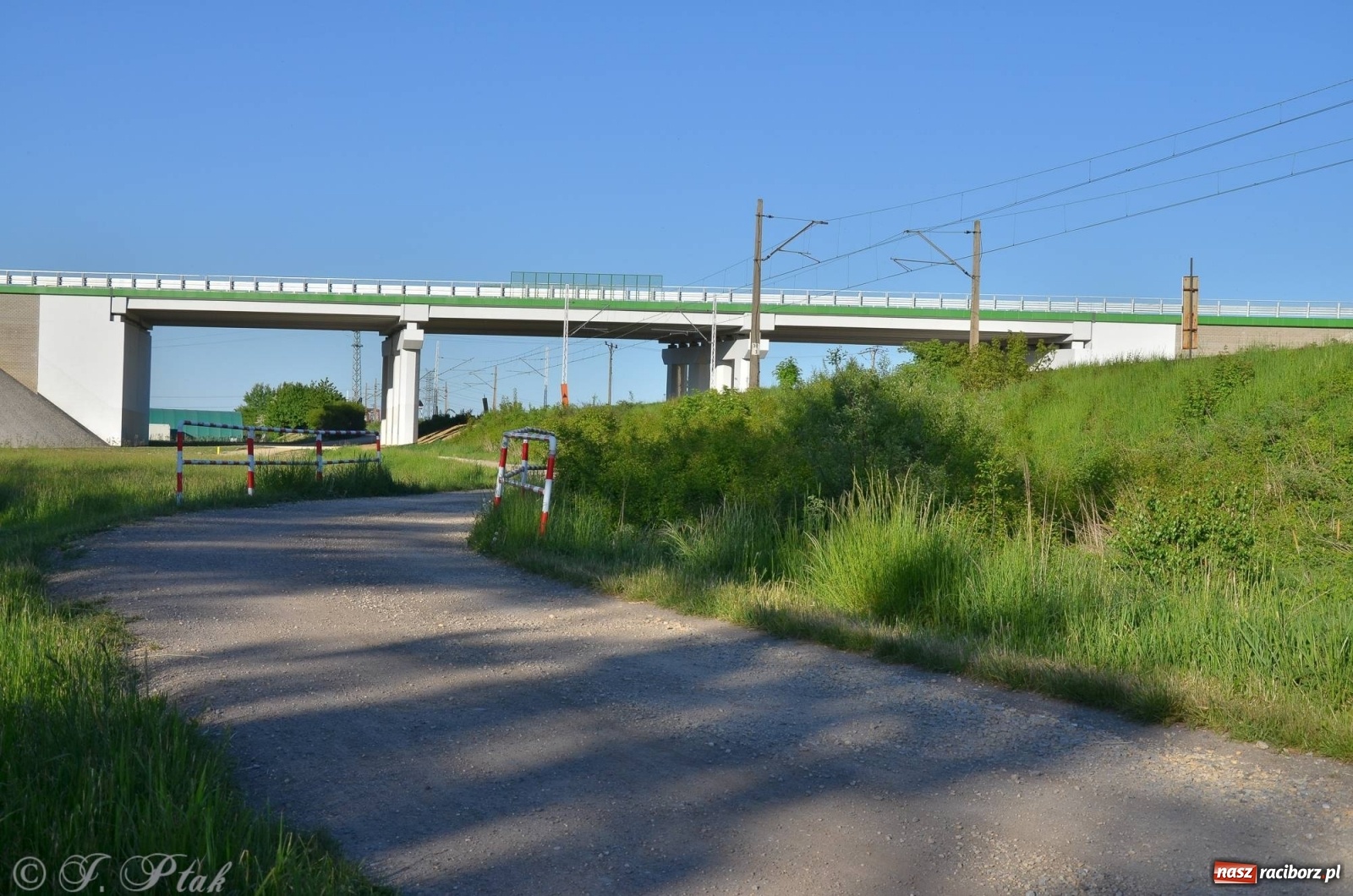 Zdjęcie w galerii na portalu naszraciborz.pl: Obwodnica i okolice. Tak zagospodarowano teren wokół nowej drogi wiadomości z regionu