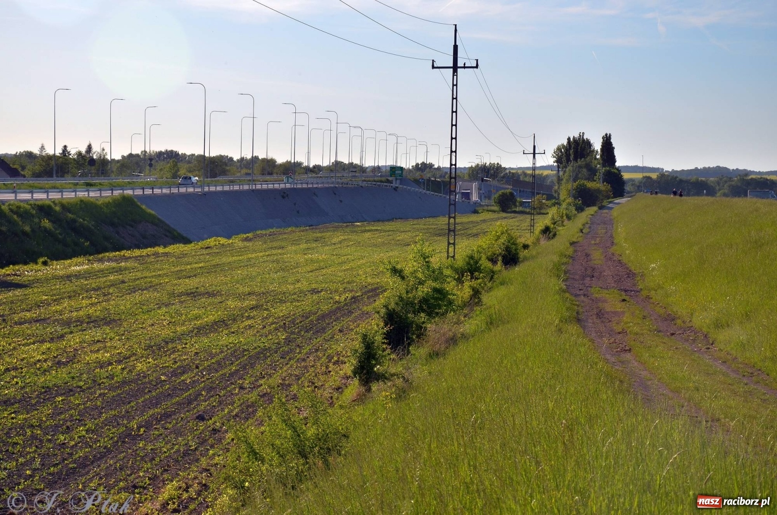Zdjęcie w galerii na portalu naszraciborz.pl: Obwodnica i okolice. Tak zagospodarowano teren wokół nowej drogi wiadomości z regionu