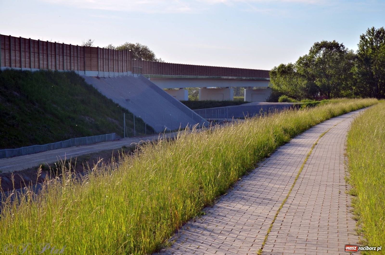 Zdjęcie w galerii na portalu naszraciborz.pl: Obwodnica i okolice. Tak zagospodarowano teren wokół nowej drogi wiadomości z regionu