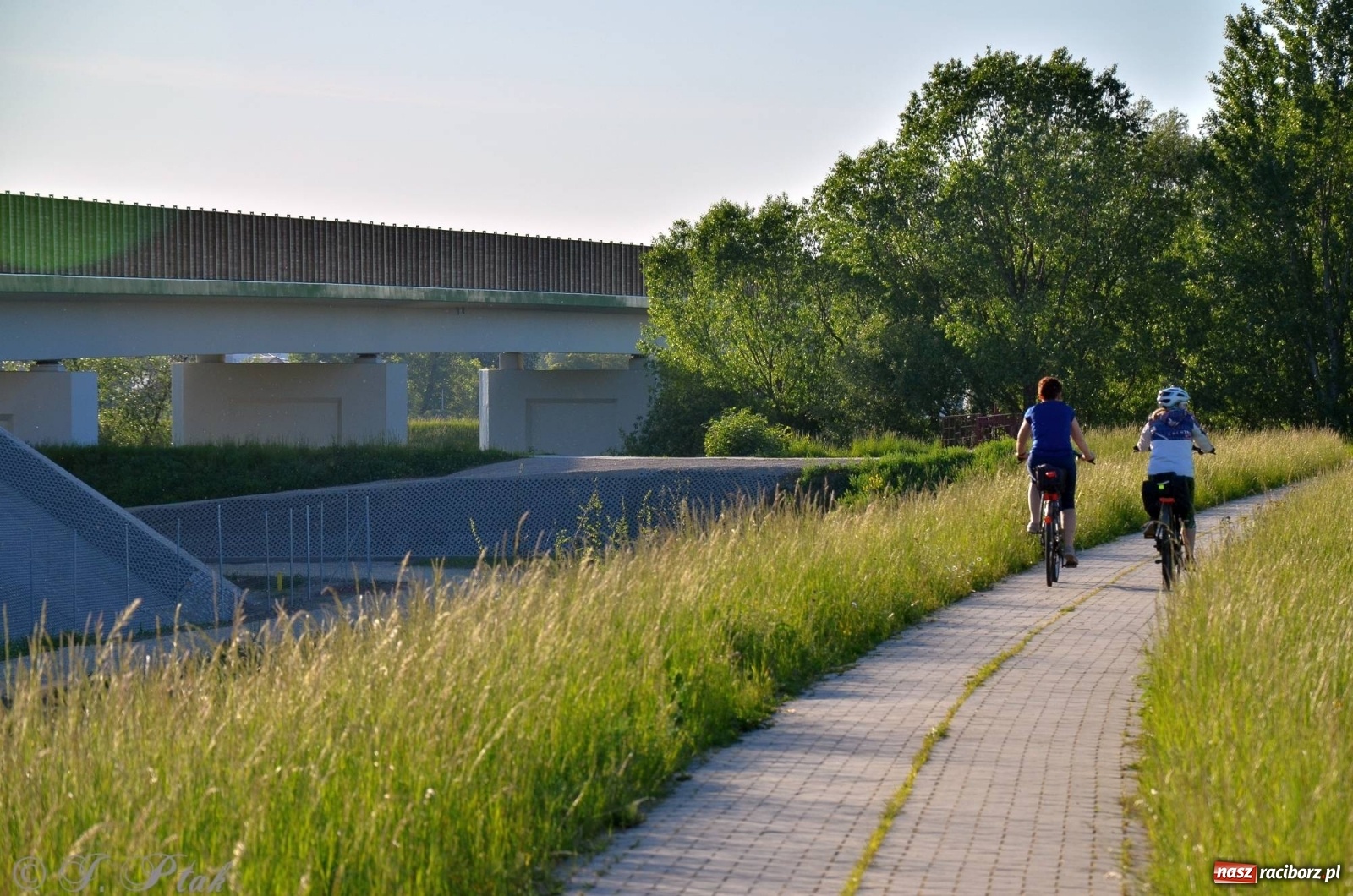 Zdjęcie w galerii na portalu naszraciborz.pl: Obwodnica i okolice. Tak zagospodarowano teren wokół nowej drogi wiadomości z regionu