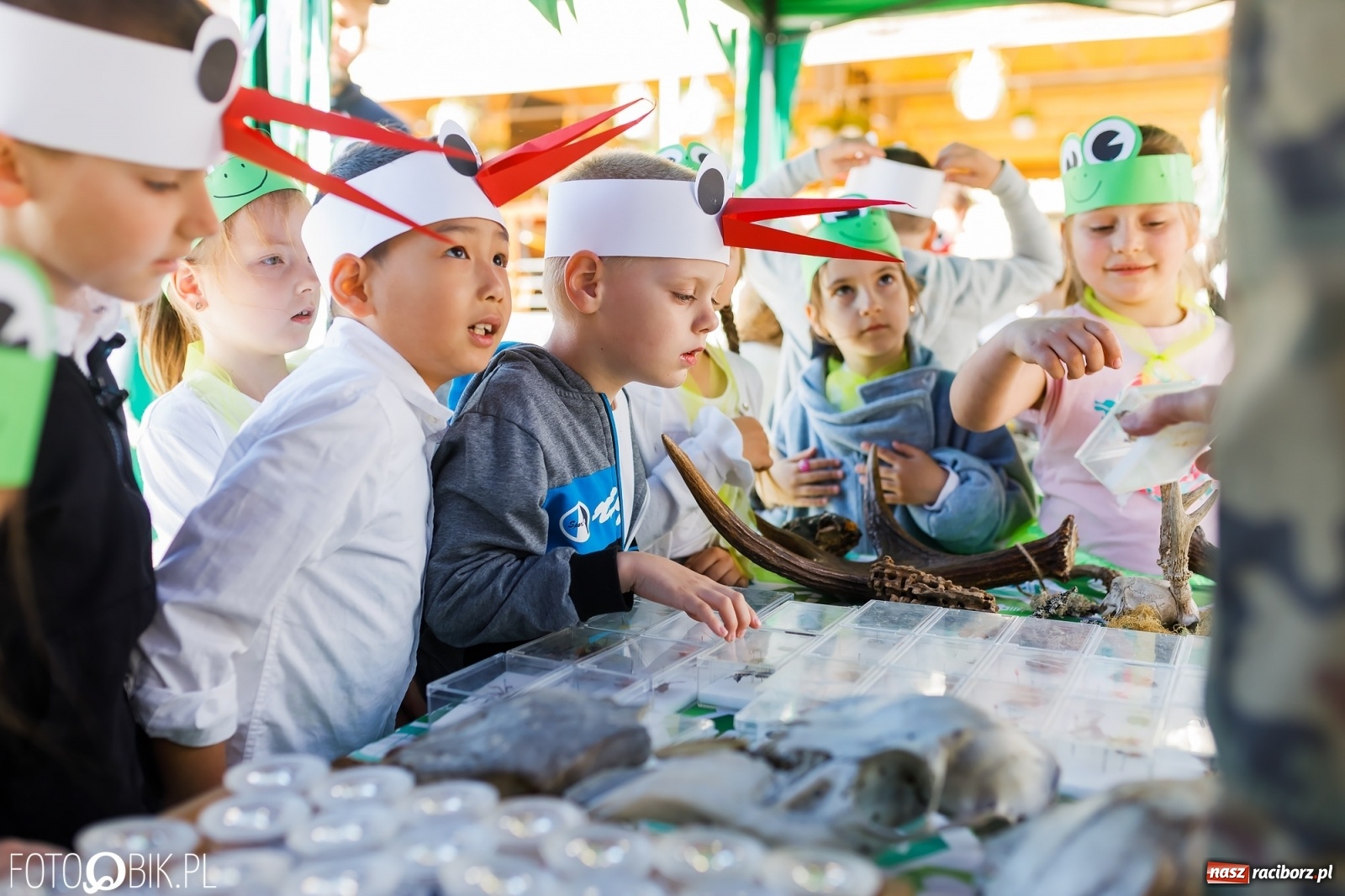 Zdjęcie w galerii na portalu naszraciborz.pl: Festyn ekologiczny na raciborskim Rynku [FOTO i WIDEO] wiadomości z regionu