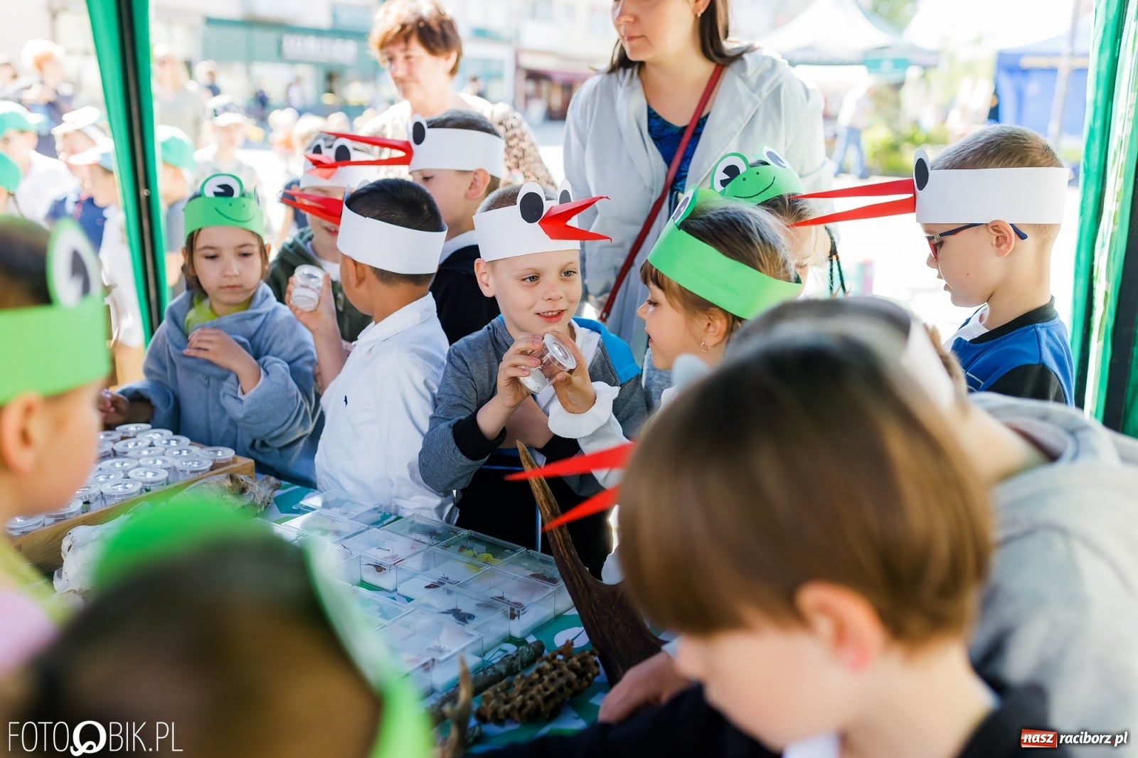 Zdjęcie w galerii na portalu naszraciborz.pl: Festyn ekologiczny na raciborskim Rynku [FOTO i WIDEO] wiadomości z regionu