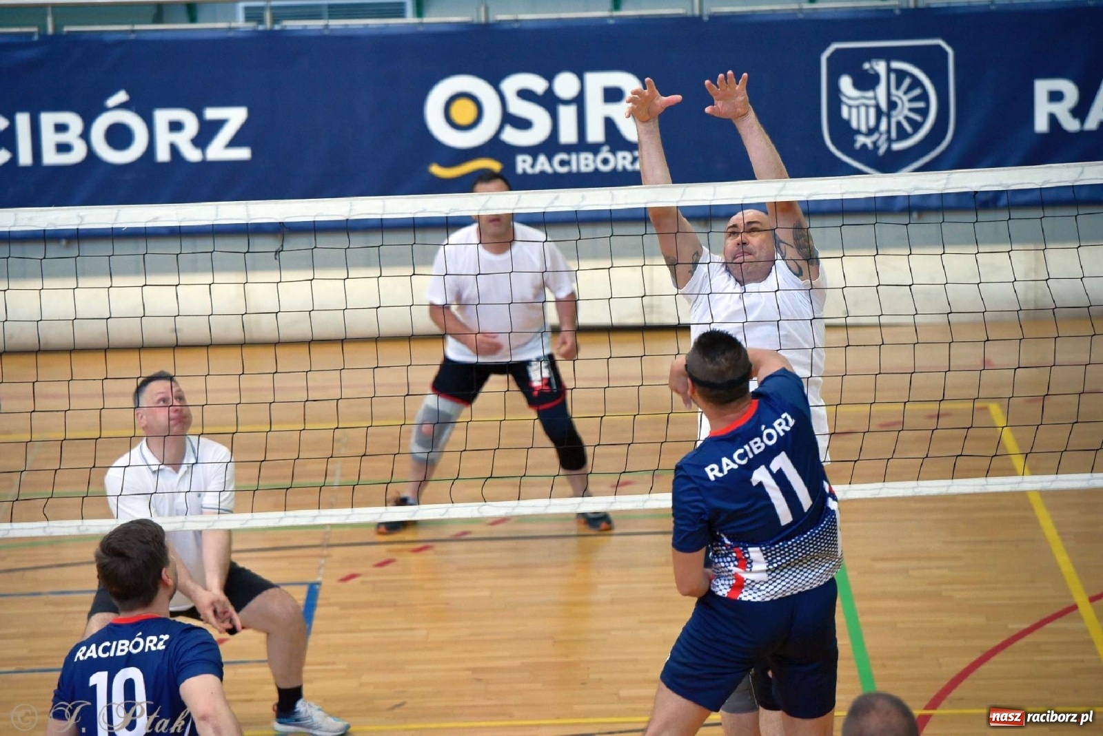 Zdjęcie w galerii na portalu naszraciborz.pl: Siatkówka. Miasto Racibórz najlepsze w rywalizacji samorządowców wiadomości z regionu