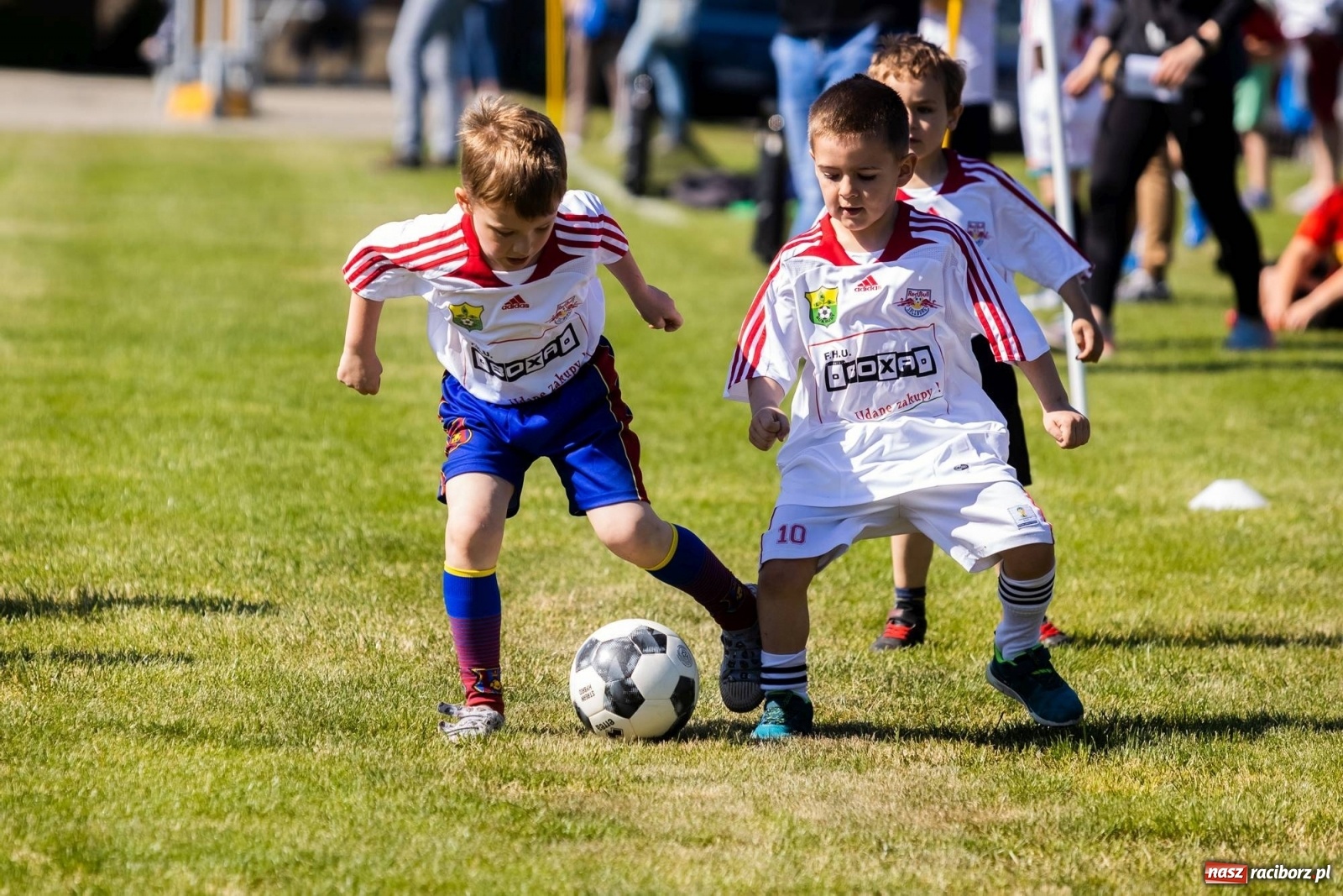 Zdjęcie w galerii na portalu naszraciborz.pl: Najmłodsi walczyli o każdą piłkę. II Turniej Małych Bajtlów w Markowicach [FOTO] wiadomości z regionu