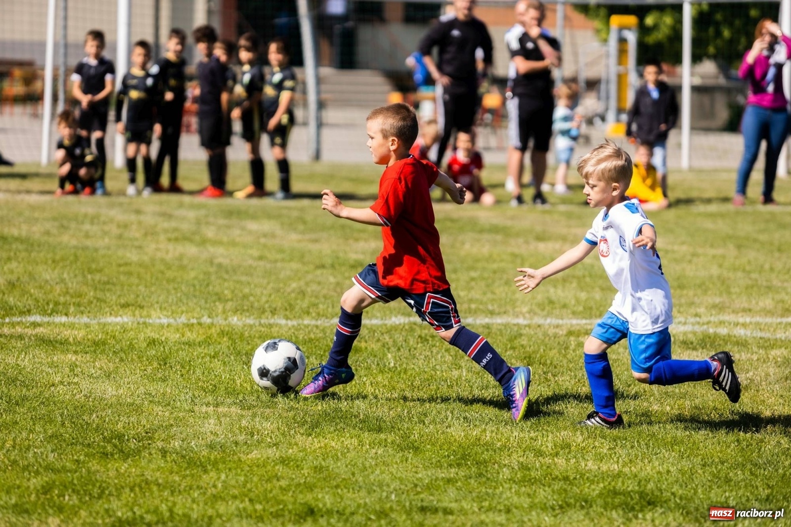 Zdjęcie w galerii na portalu naszraciborz.pl: Najmłodsi walczyli o każdą piłkę. II Turniej Małych Bajtlów w Markowicach [FOTO] wiadomości z regionu