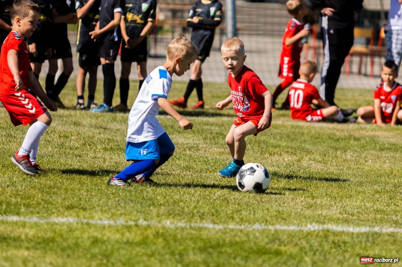 Zdjęcie w galerii na portalu naszraciborz.pl: Najmłodsi walczyli o każdą piłkę. II Turniej Małych Bajtlów w Markowicach [FOTO] wiadomości z regionu