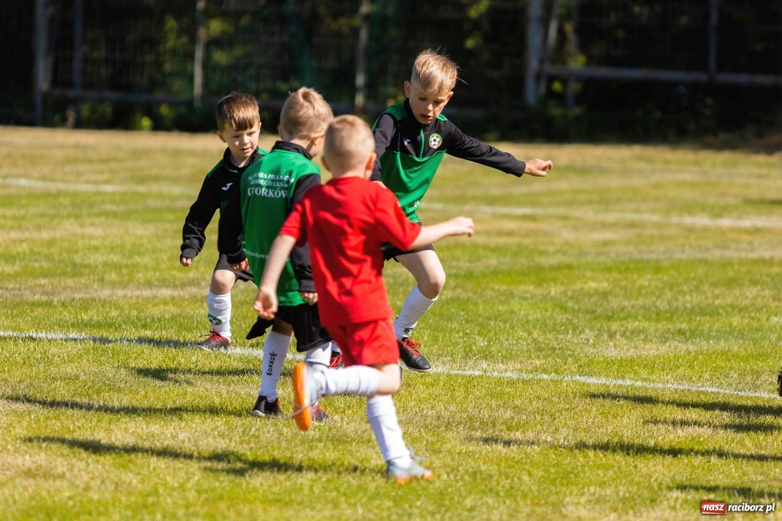 Zdjęcie w galerii na portalu naszraciborz.pl: Najmłodsi walczyli o każdą piłkę. II Turniej Małych Bajtlów w Markowicach [FOTO] wiadomości z regionu