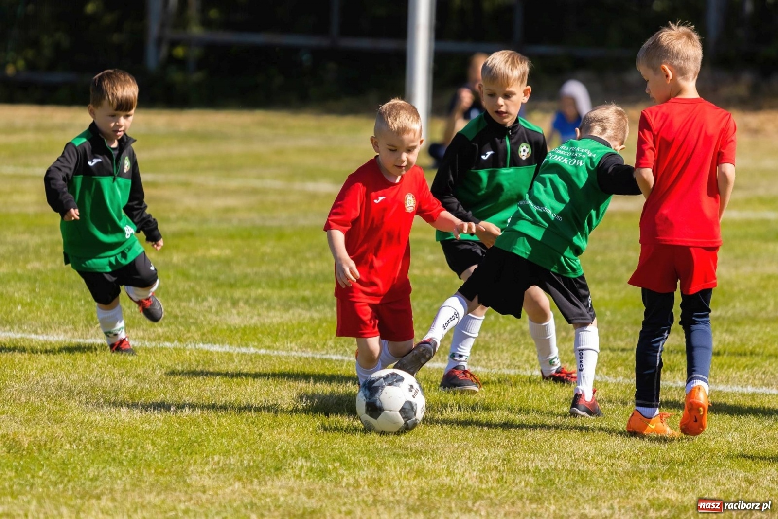 Zdjęcie w galerii na portalu naszraciborz.pl: Najmłodsi walczyli o każdą piłkę. II Turniej Małych Bajtlów w Markowicach [FOTO] wiadomości z regionu