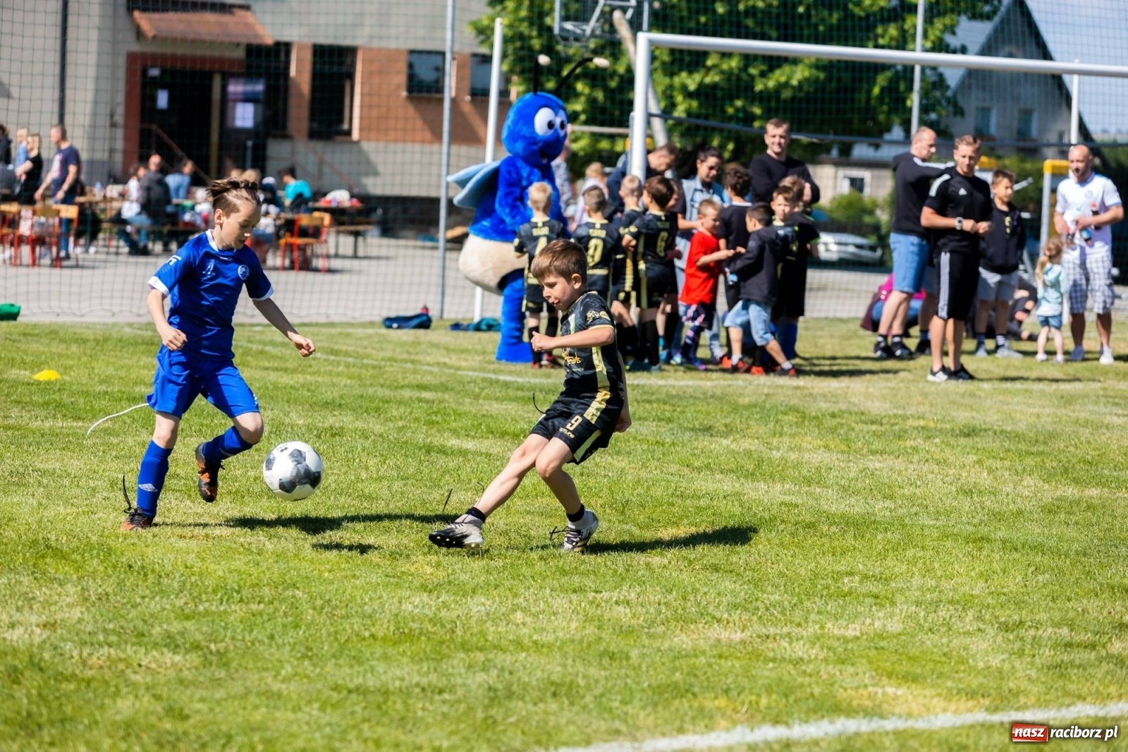 Zdjęcie w galerii na portalu naszraciborz.pl: Najmłodsi walczyli o każdą piłkę. II Turniej Małych Bajtlów w Markowicach [FOTO] wiadomości z regionu