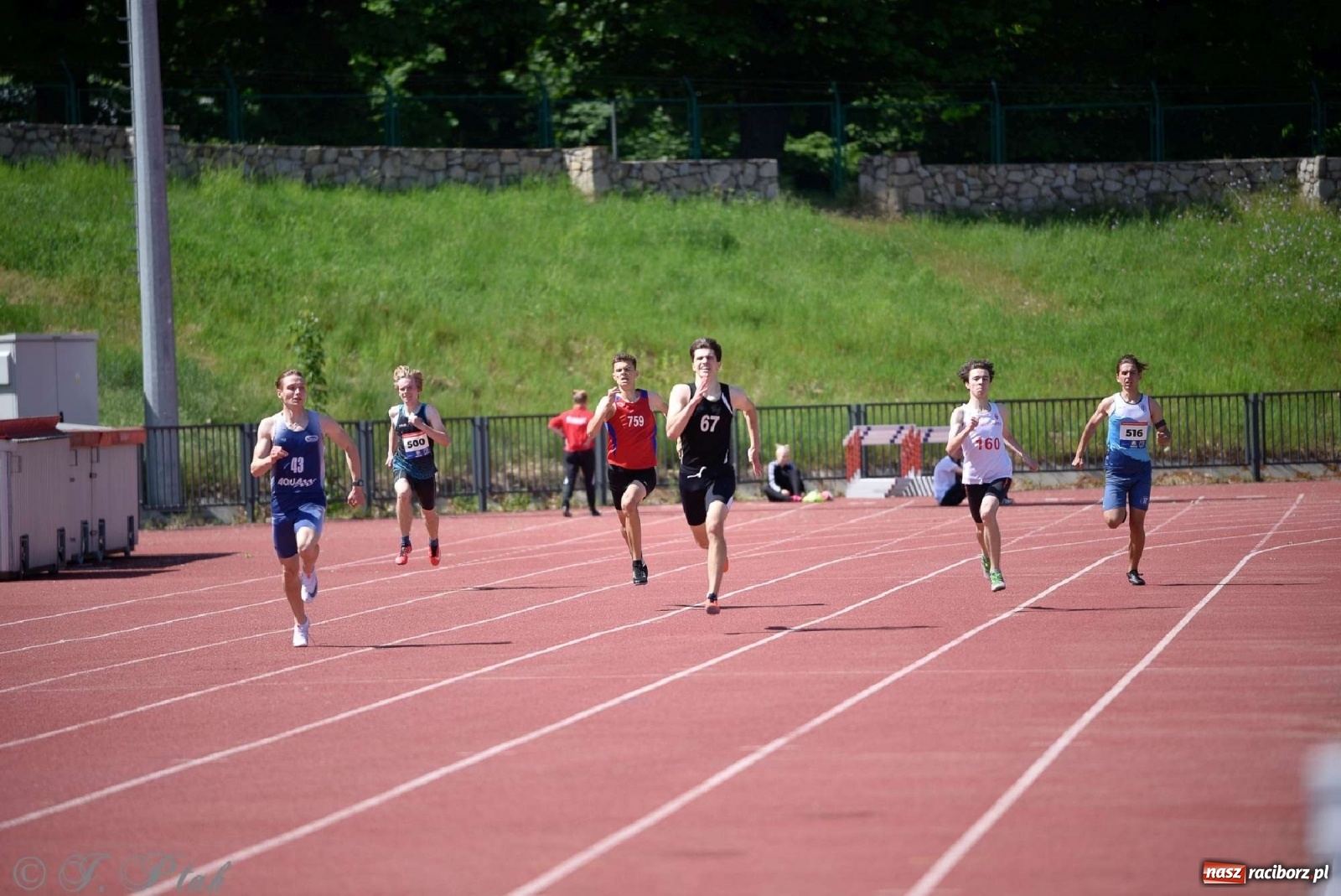 Zdjęcie w galerii na portalu naszraciborz.pl: Królowa sportu zagościła w Raciborzu. Polsko-czeska rywalizacja przy Zamkowej wiadomości z regionu
