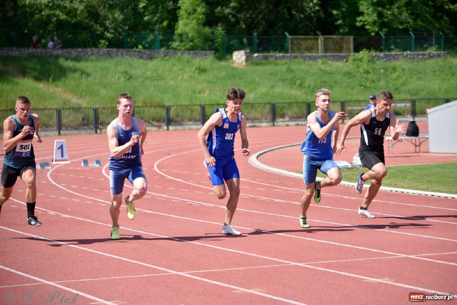 Zdjęcie w galerii na portalu naszraciborz.pl: Królowa sportu zagościła w Raciborzu. Polsko-czeska rywalizacja przy Zamkowej wiadomości z regionu