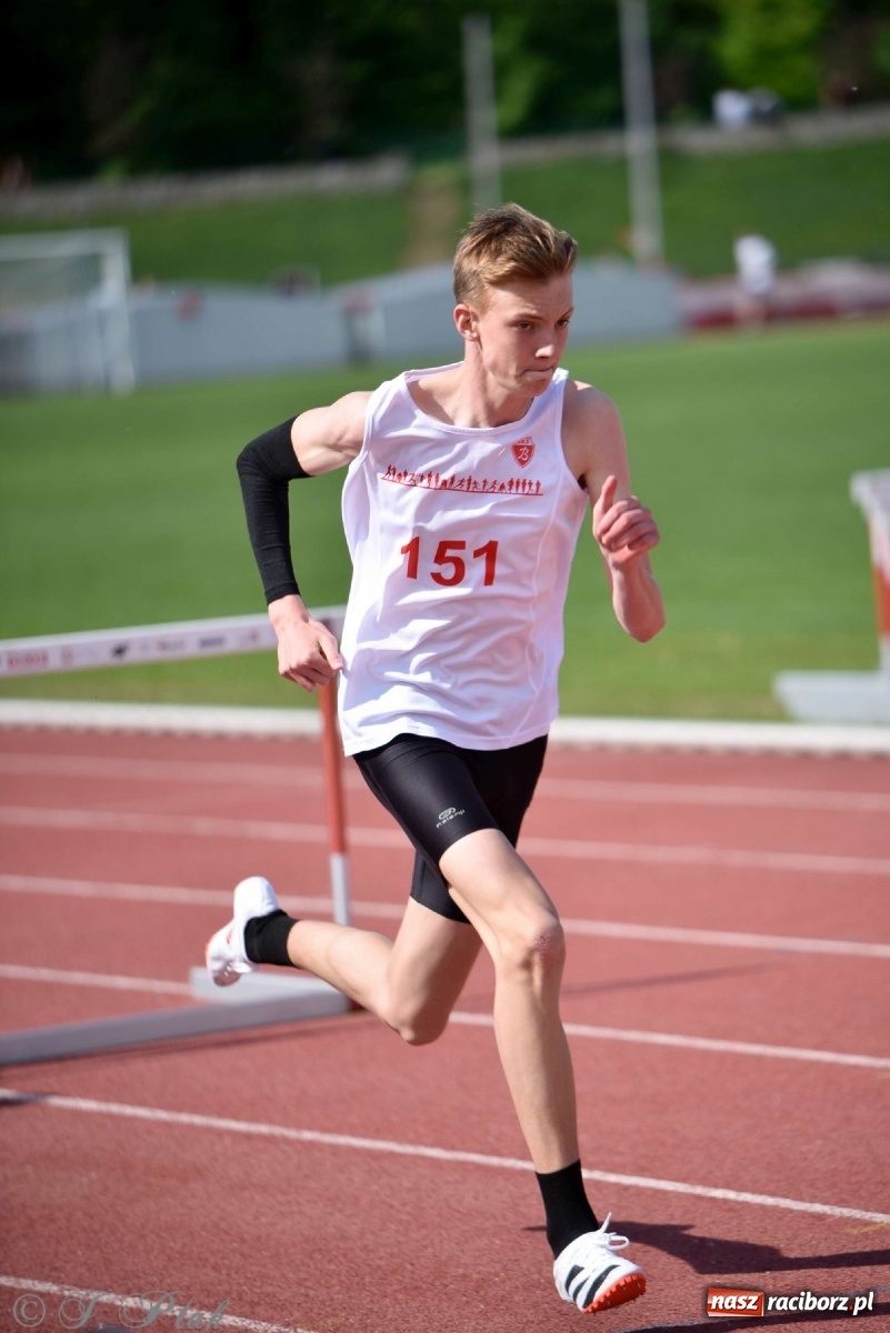Zdjęcie w galerii na portalu naszraciborz.pl: Królowa sportu zagościła w Raciborzu. Polsko-czeska rywalizacja przy Zamkowej wiadomości z regionu