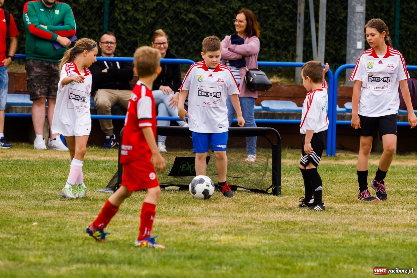 Zdjęcie w galerii na portalu naszraciborz.pl: Emocje połączone z frajdą. II Turniej Małych Bajtlów za nami [FOTO] wiadomości z regionu