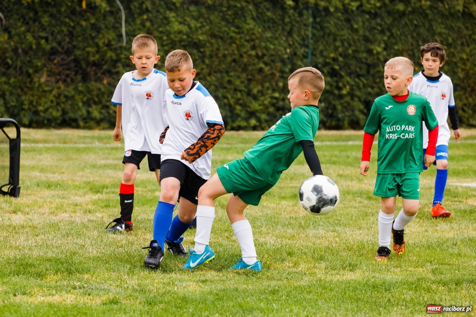 Zdjęcie w galerii na portalu naszraciborz.pl: Emocje połączone z frajdą. II Turniej Małych Bajtlów za nami [FOTO] wiadomości z regionu