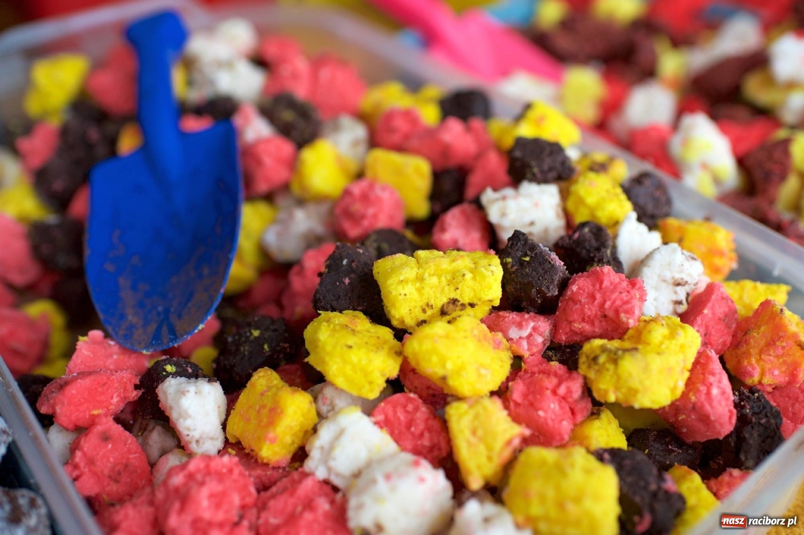 Zdjęcie w galerii na portalu naszraciborz.pl: Wierni z Tworkowa, Owsiszcz, Bolesławia i czeskiej Haci na Urbanku [FOTO i WIDEO] wiadomości z regionu