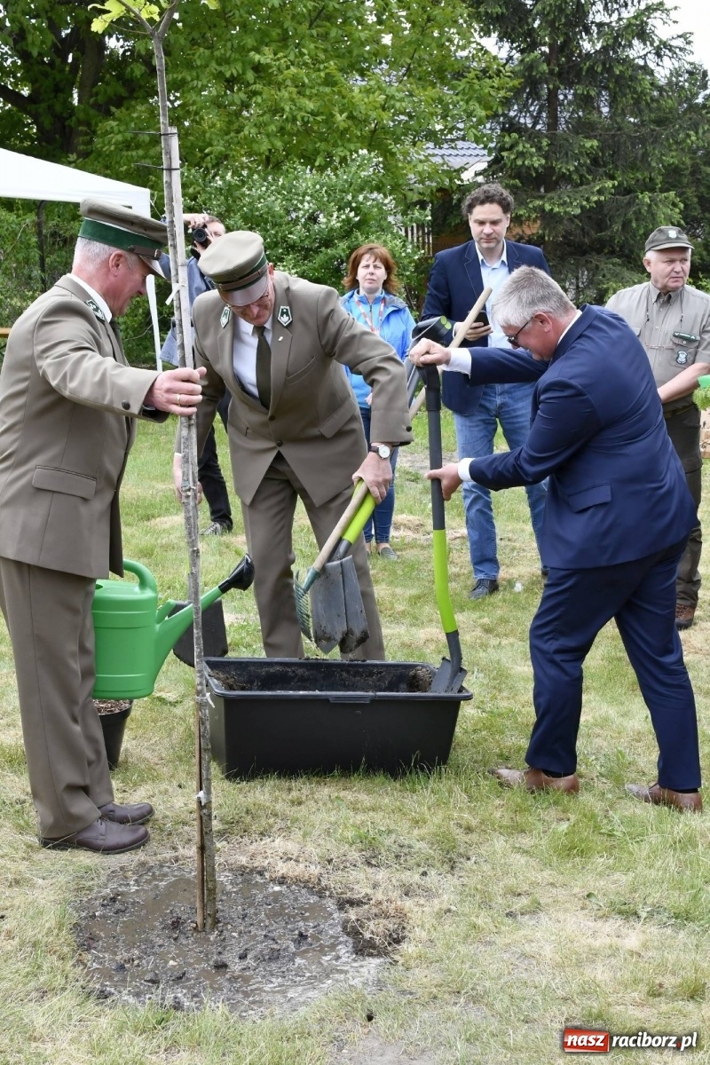 Zdjęcie w galerii na portalu naszraciborz.pl: Wielkie święto w Raciborzu-Brzeziu. Finał Dni Dulcissimiańskich i posadzenie Dębu Niepodległości [FOTO i WIDEO] wiadomości z regionu