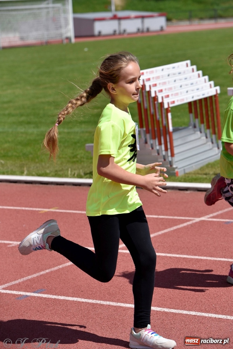 Zdjęcie w galerii na portalu naszraciborz.pl: Raciborski Bieg Bez Barier [FOTO] wiadomości z regionu