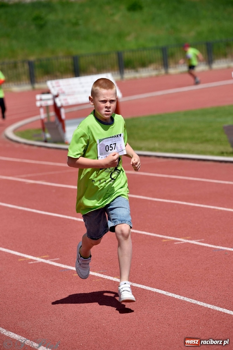 Zdjęcie w galerii na portalu naszraciborz.pl: Raciborski Bieg Bez Barier [FOTO] wiadomości z regionu