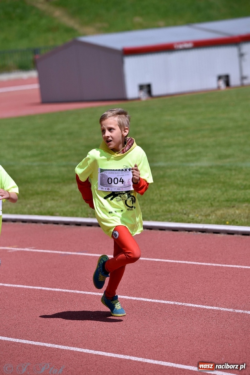 Zdjęcie w galerii na portalu naszraciborz.pl: Raciborski Bieg Bez Barier [FOTO] wiadomości z regionu