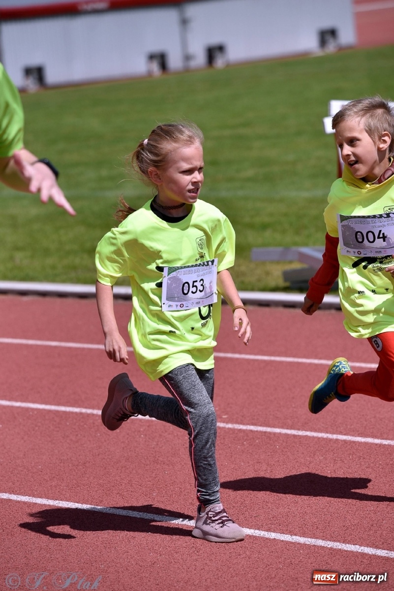 Zdjęcie w galerii na portalu naszraciborz.pl: Raciborski Bieg Bez Barier [FOTO] wiadomości z regionu
