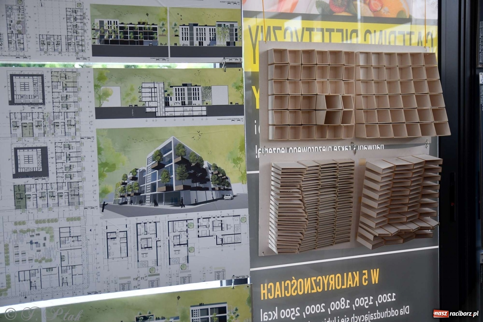 Zdjęcie w galerii na portalu naszraciborz.pl: Młoda architektura Raciborza - PWSZ pokazała prace studentów i wręczyła dyplomy wiadomości z regionu