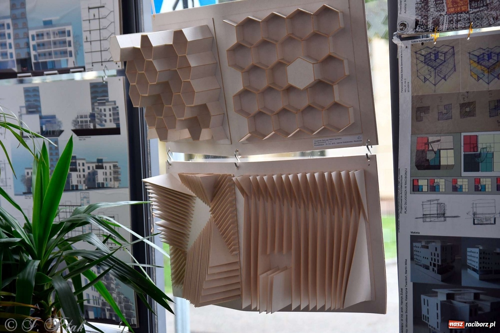 Zdjęcie w galerii na portalu naszraciborz.pl: Młoda architektura Raciborza - PWSZ pokazała prace studentów i wręczyła dyplomy wiadomości z regionu