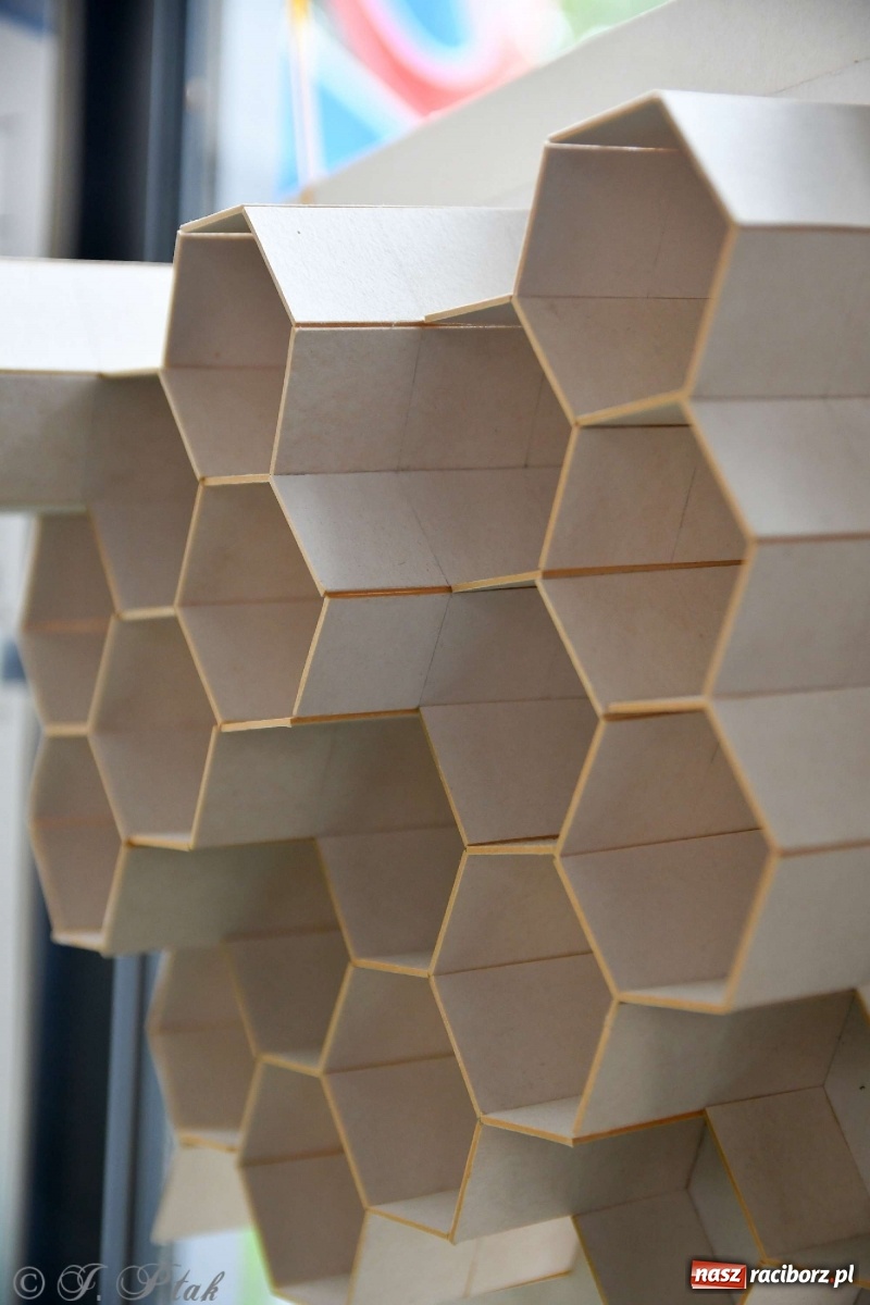 Zdjęcie w galerii na portalu naszraciborz.pl: Młoda architektura Raciborza - PWSZ pokazała prace studentów i wręczyła dyplomy wiadomości z regionu