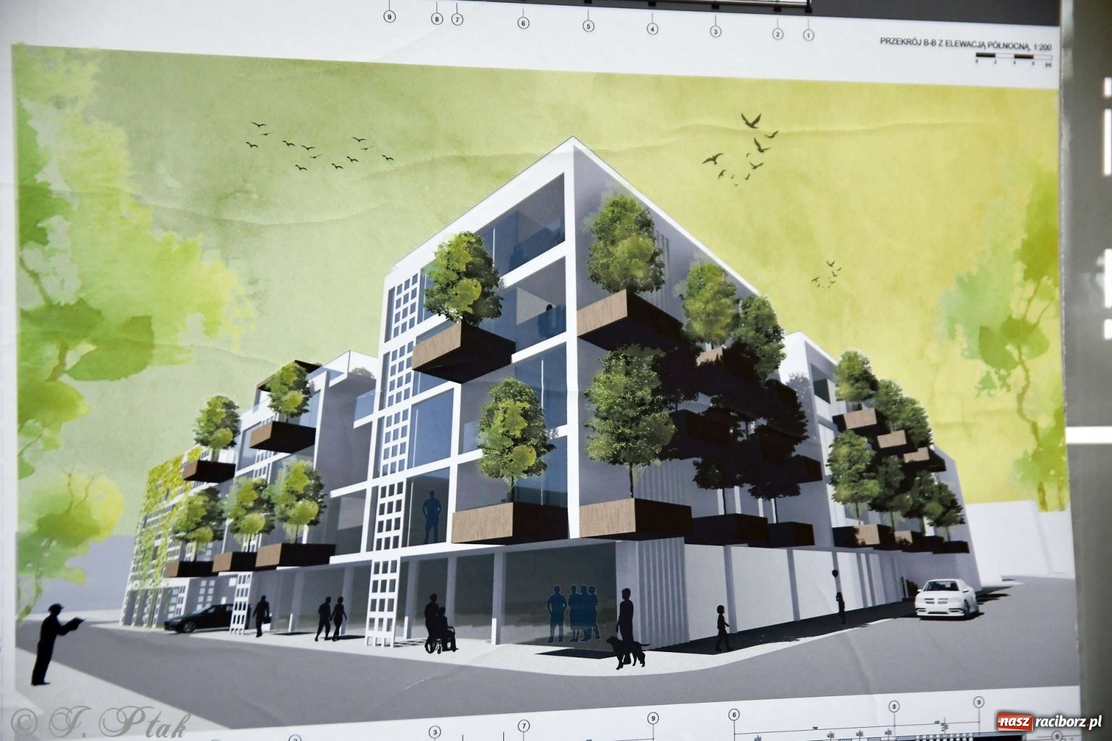 Zdjęcie w galerii na portalu naszraciborz.pl: Młoda architektura Raciborza - PWSZ pokazała prace studentów i wręczyła dyplomy wiadomości z regionu