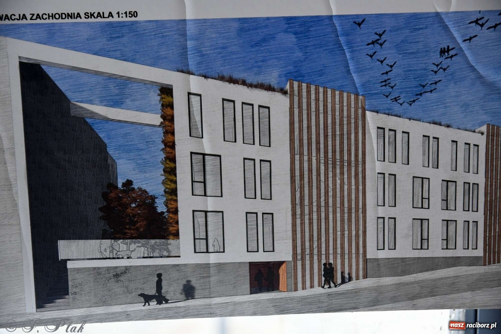 Zdjęcie w galerii na portalu naszraciborz.pl: Młoda architektura Raciborza - PWSZ pokazała prace studentów i wręczyła dyplomy wiadomości z regionu