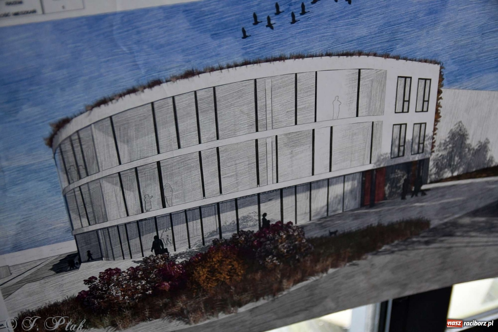 Zdjęcie w galerii na portalu naszraciborz.pl: Młoda architektura Raciborza - PWSZ pokazała prace studentów i wręczyła dyplomy wiadomości z regionu