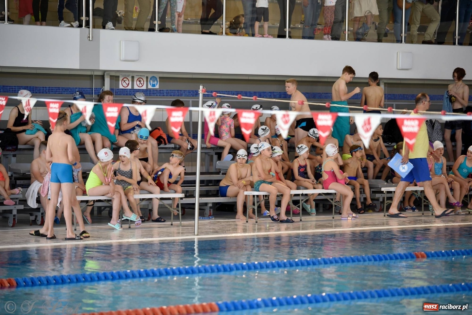 Zdjęcie w galerii na portalu naszraciborz.pl: Już pływam - finałowa runda w H2Ostróg wiadomości z regionu