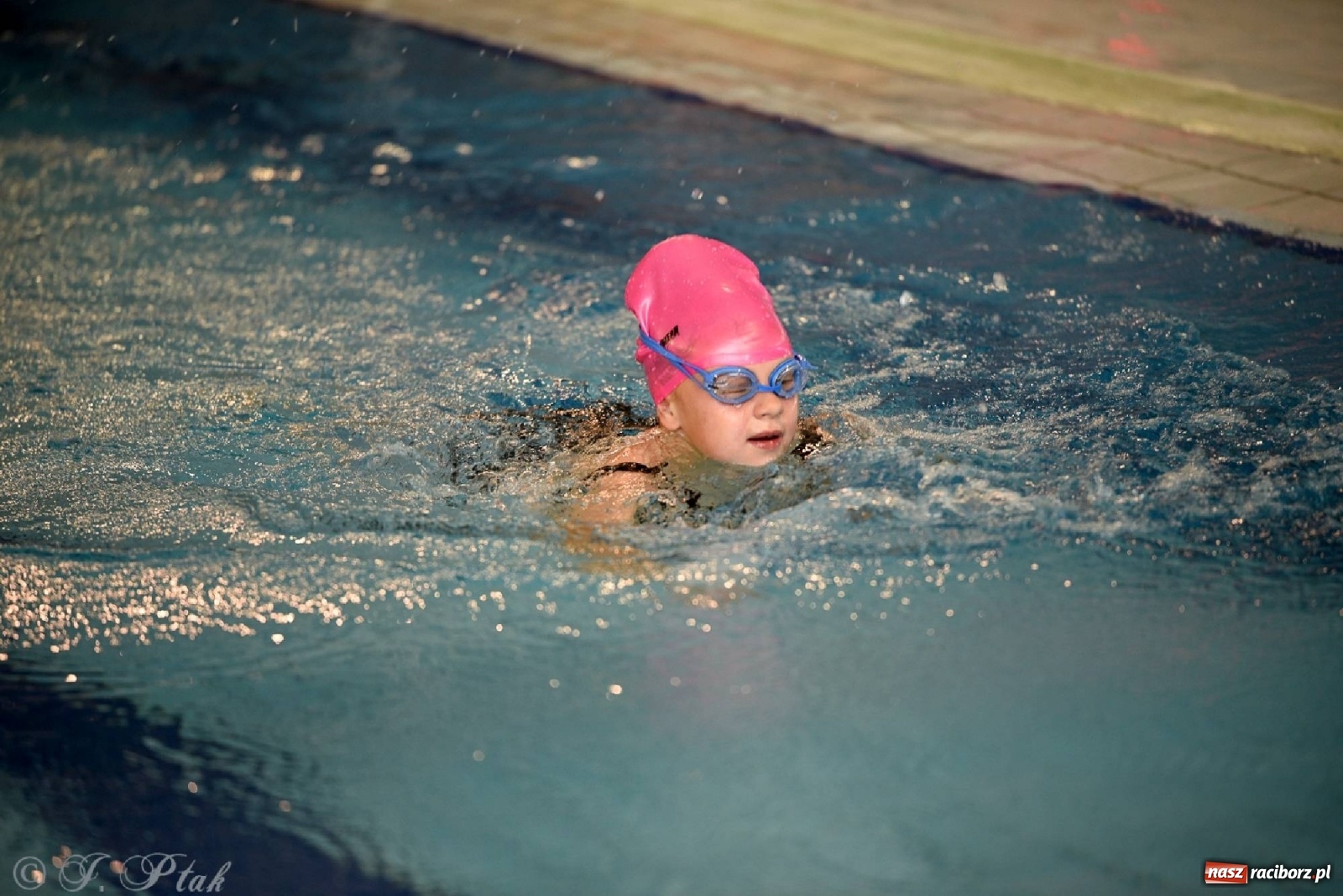 Zdjęcie w galerii na portalu naszraciborz.pl: Już pływam - finałowa runda w H2Ostróg wiadomości z regionu