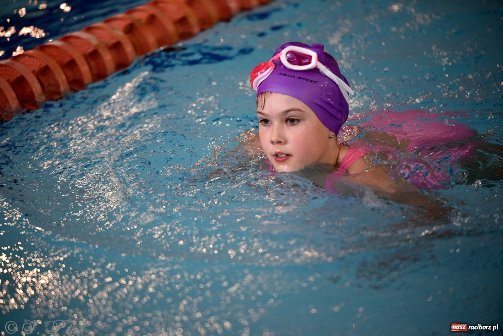 Zdjęcie w galerii na portalu naszraciborz.pl: Już pływam - finałowa runda w H2Ostróg wiadomości z regionu