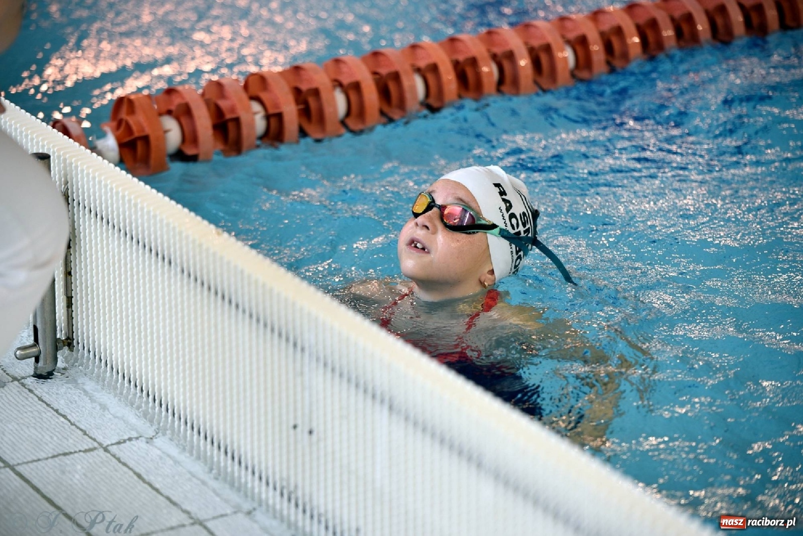 Zdjęcie w galerii na portalu naszraciborz.pl: Już pływam - finałowa runda w H2Ostróg wiadomości z regionu