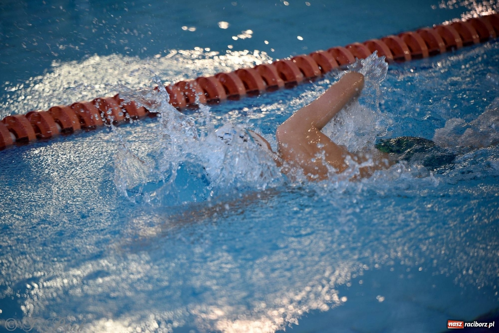 Zdjęcie w galerii na portalu naszraciborz.pl: Już pływam - finałowa runda w H2Ostróg wiadomości z regionu