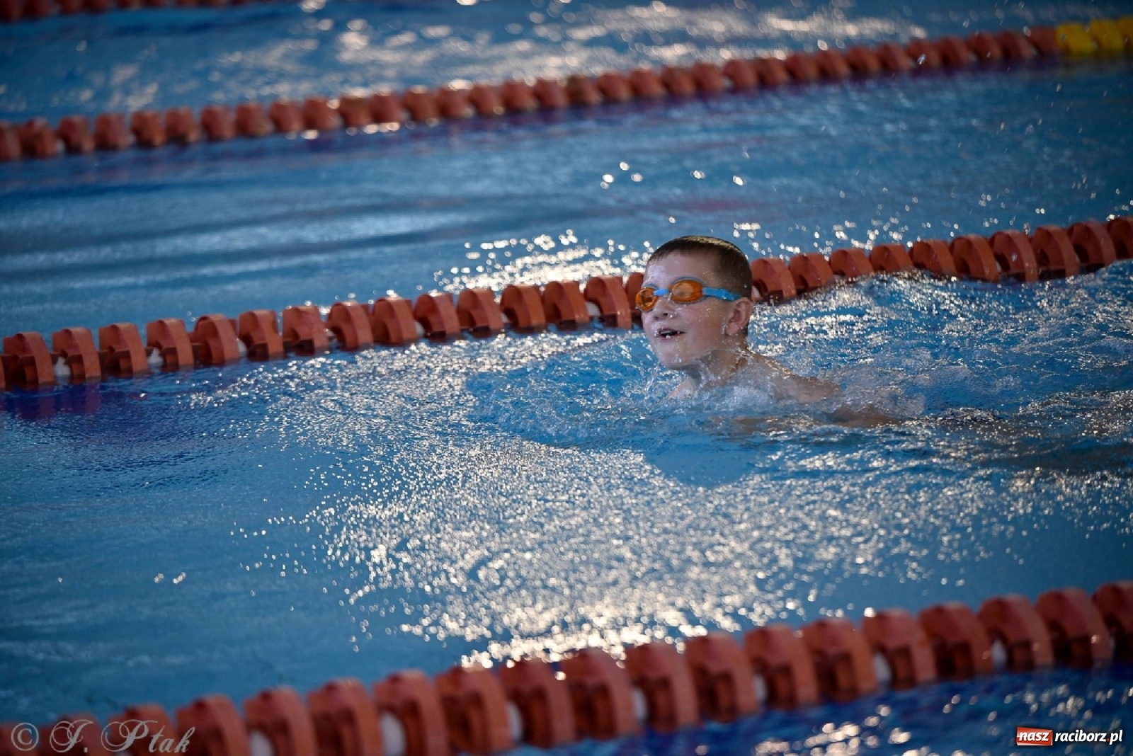 Zdjęcie w galerii na portalu naszraciborz.pl: Już pływam - finałowa runda w H2Ostróg wiadomości z regionu