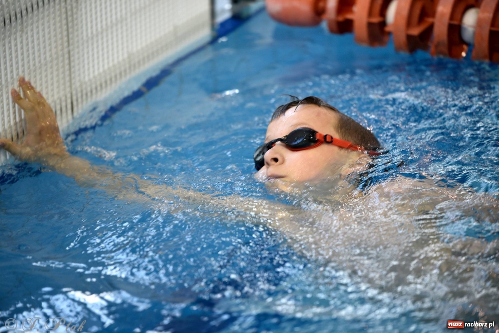 Zdjęcie w galerii na portalu naszraciborz.pl: Już pływam - finałowa runda w H2Ostróg wiadomości z regionu