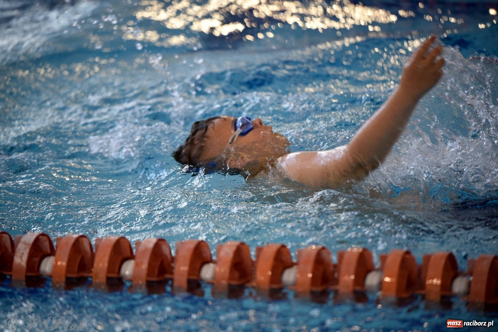 Zdjęcie w galerii na portalu naszraciborz.pl: Już pływam - finałowa runda w H2Ostróg wiadomości z regionu