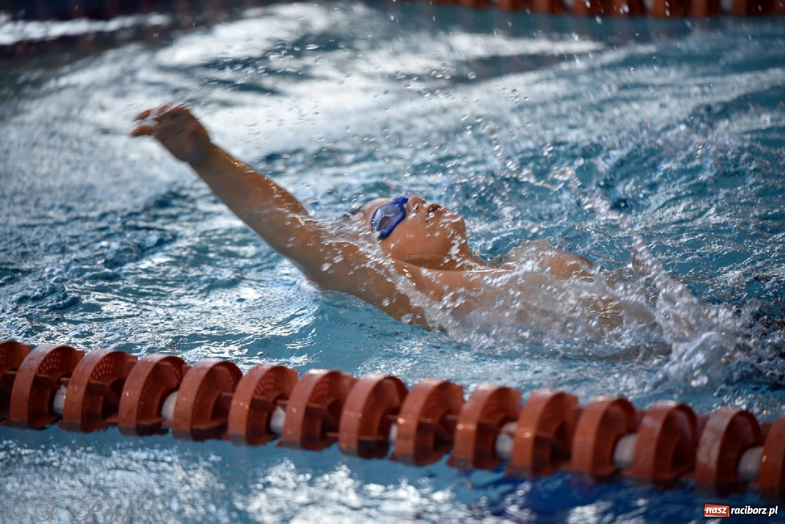 Zdjęcie w galerii na portalu naszraciborz.pl: Już pływam - finałowa runda w H2Ostróg wiadomości z regionu
