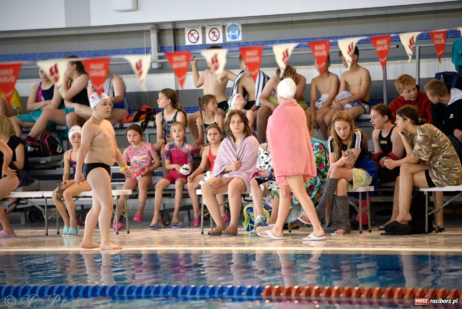 Zdjęcie w galerii na portalu naszraciborz.pl: Już pływam - finałowa runda w H2Ostróg wiadomości z regionu