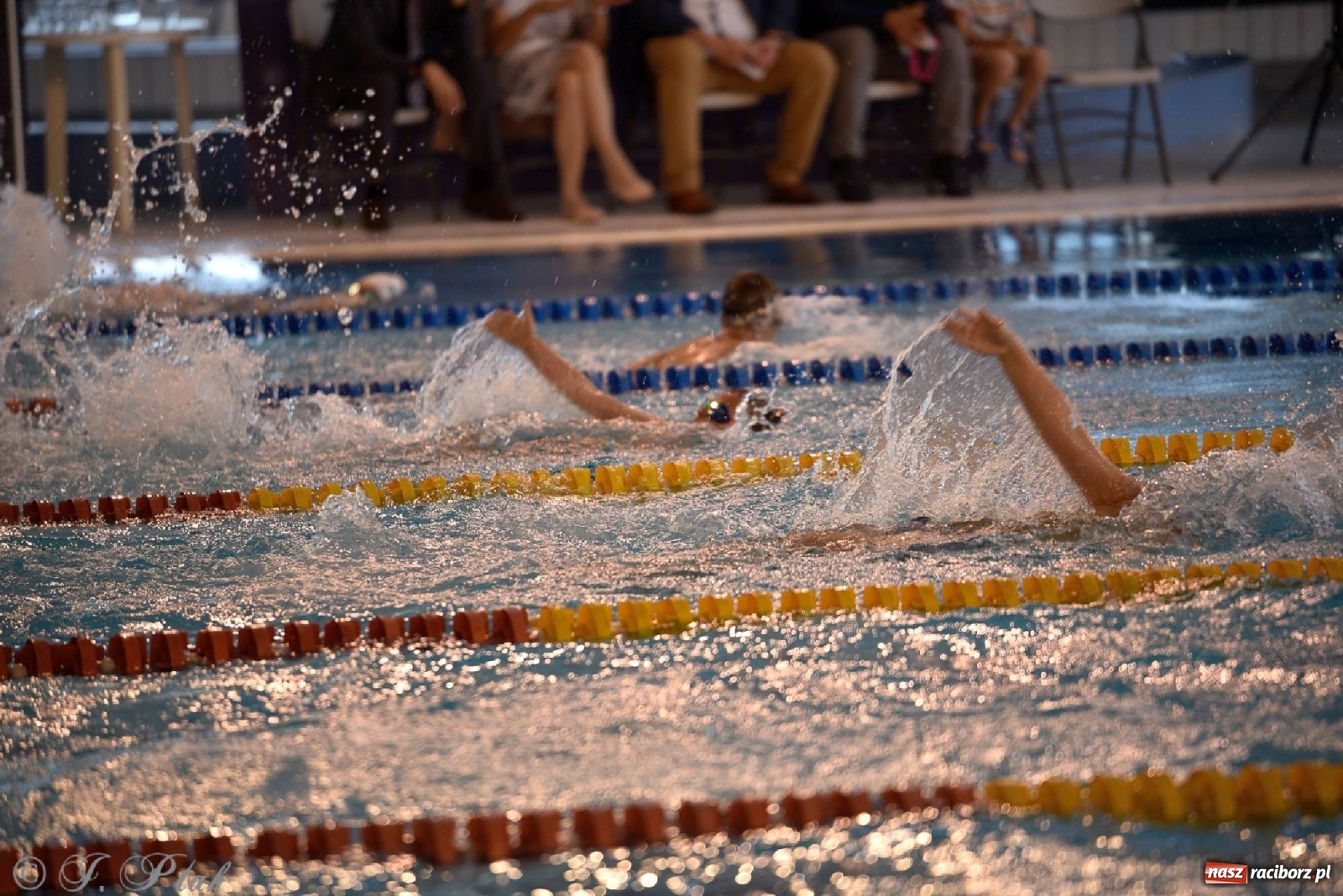 Zdjęcie w galerii na portalu naszraciborz.pl: Już pływam - finałowa runda w H2Ostróg wiadomości z regionu