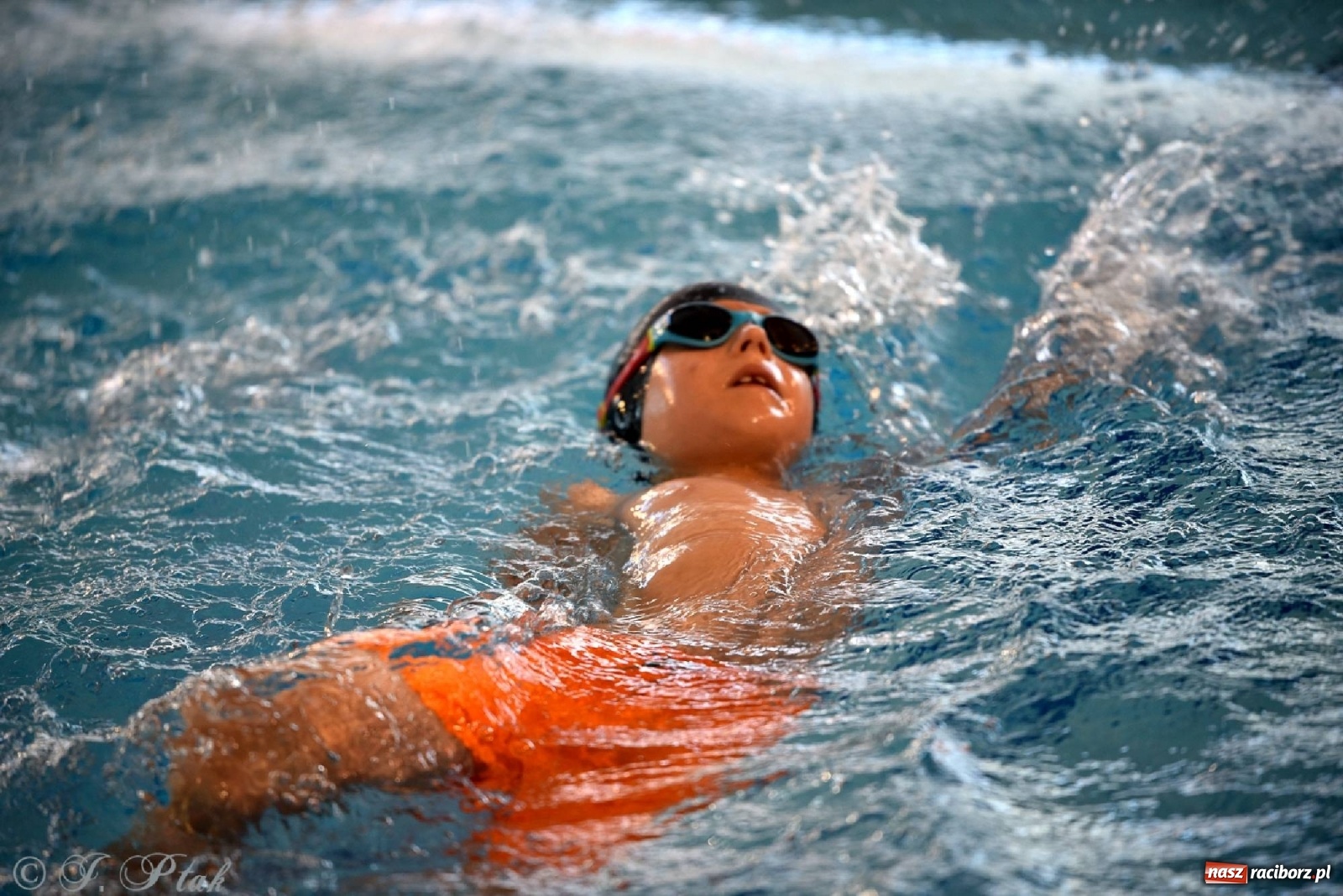 Zdjęcie w galerii na portalu naszraciborz.pl: Już pływam - finałowa runda w H2Ostróg wiadomości z regionu