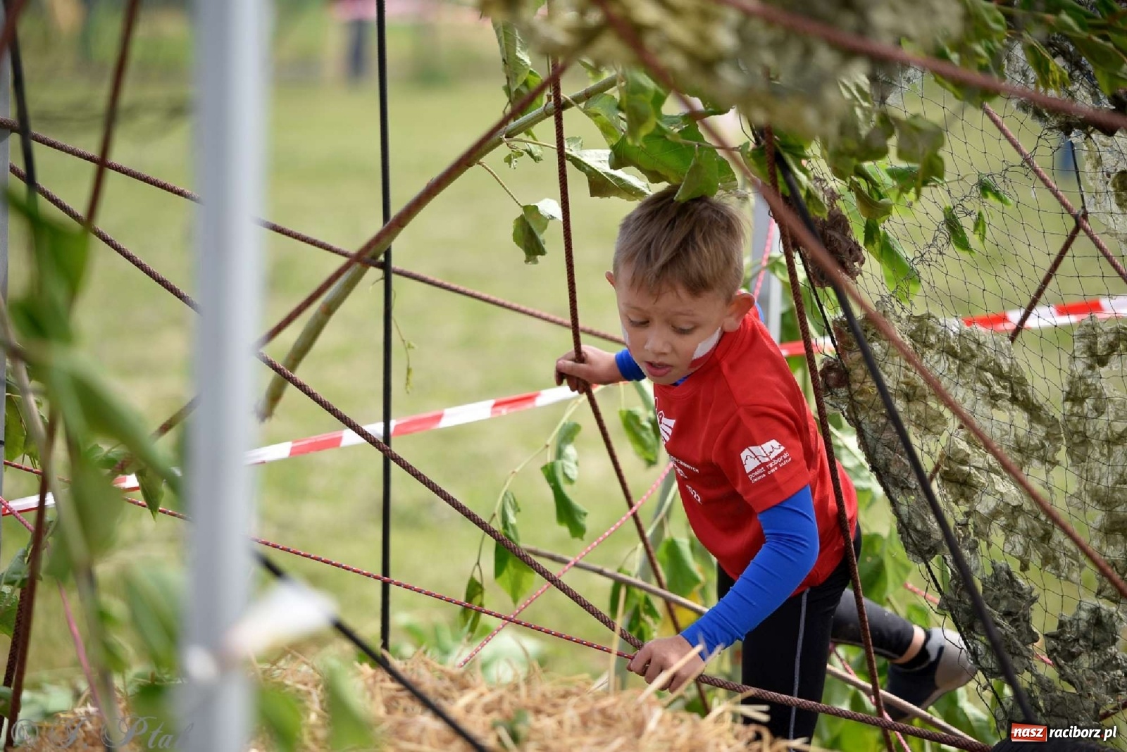 Zdjęcie w galerii na portalu naszraciborz.pl: 4. Bieg Małego Polaka im. Cichociemnych [FOTO i WIDEO] wiadomości z regionu