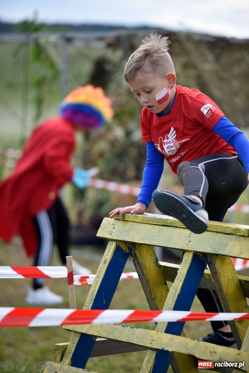Zdjęcie w galerii na portalu naszraciborz.pl: 4. Bieg Małego Polaka im. Cichociemnych [FOTO i WIDEO] wiadomości z regionu