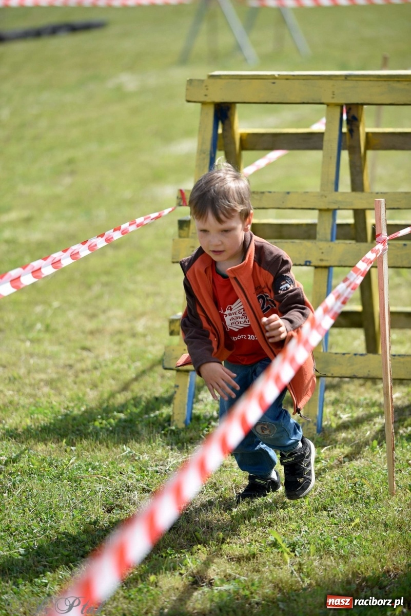 Zdjęcie w galerii na portalu naszraciborz.pl: 4. Bieg Małego Polaka im. Cichociemnych [FOTO i WIDEO] wiadomości z regionu