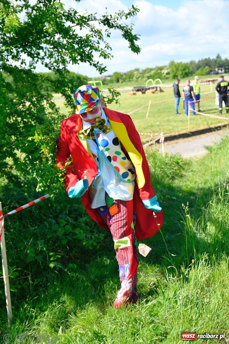 Zdjęcie w galerii na portalu naszraciborz.pl: 4. Bieg Małego Polaka im. Cichociemnych [FOTO i WIDEO] wiadomości z regionu