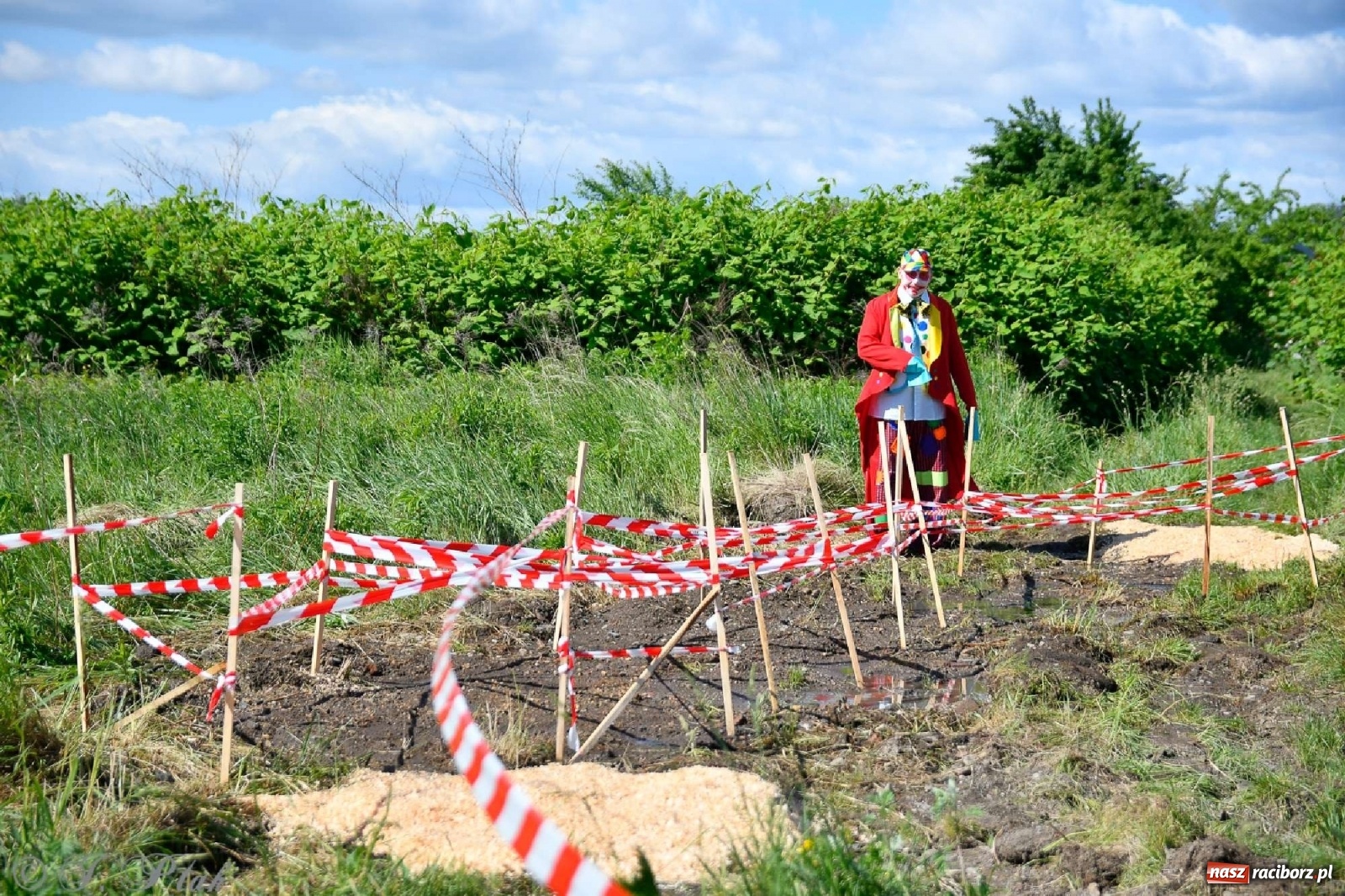 Zdjęcie w galerii na portalu naszraciborz.pl: 4. Bieg Małego Polaka im. Cichociemnych [FOTO i WIDEO] wiadomości z regionu