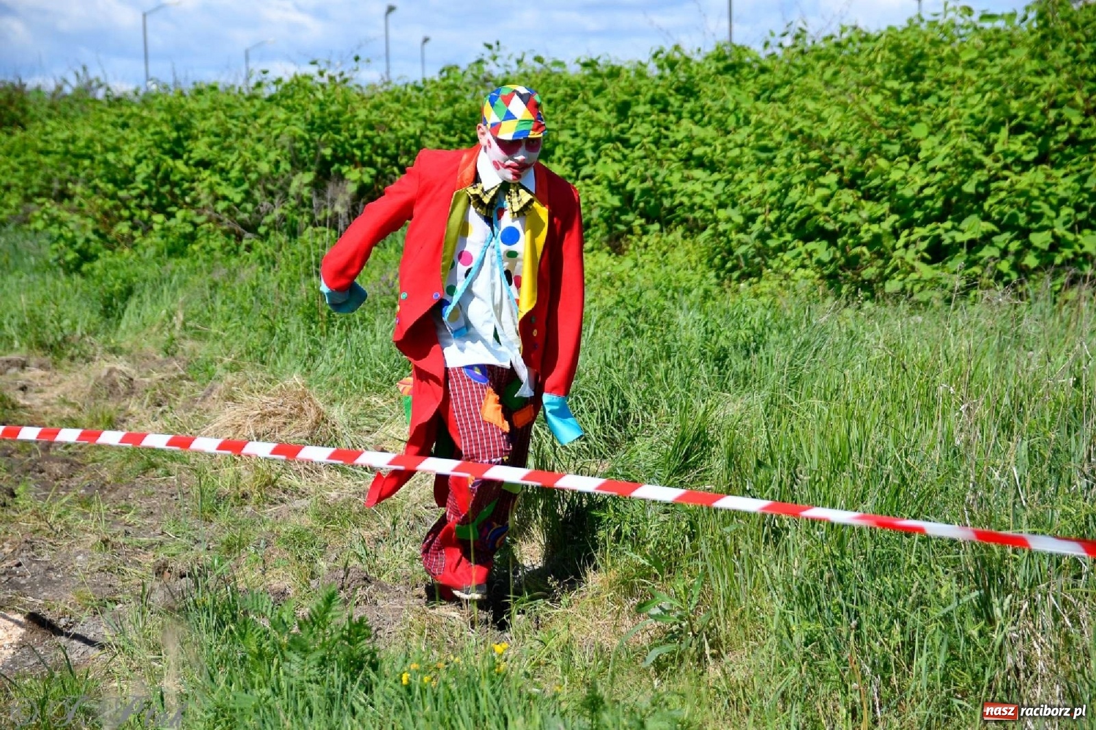 Zdjęcie w galerii na portalu naszraciborz.pl: 4. Bieg Małego Polaka im. Cichociemnych [FOTO i WIDEO] wiadomości z regionu